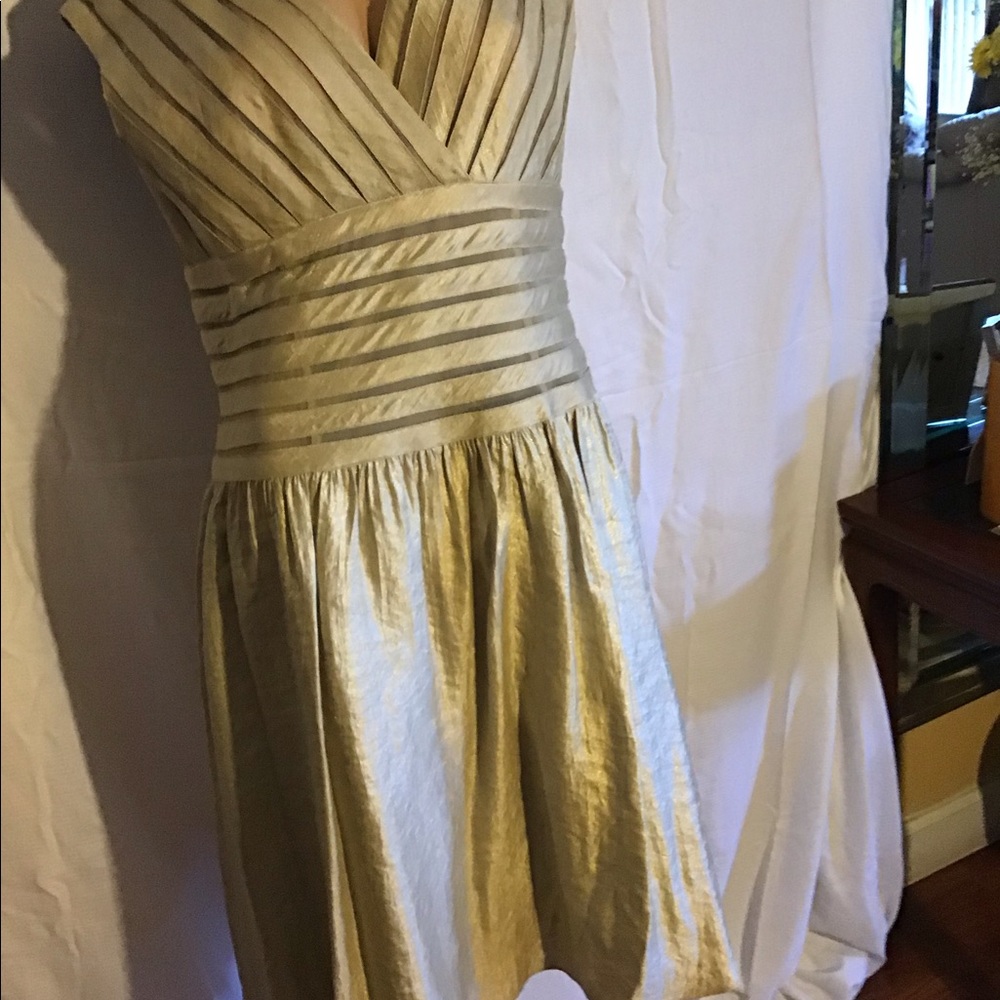 Gold lined silky Rayon dress.